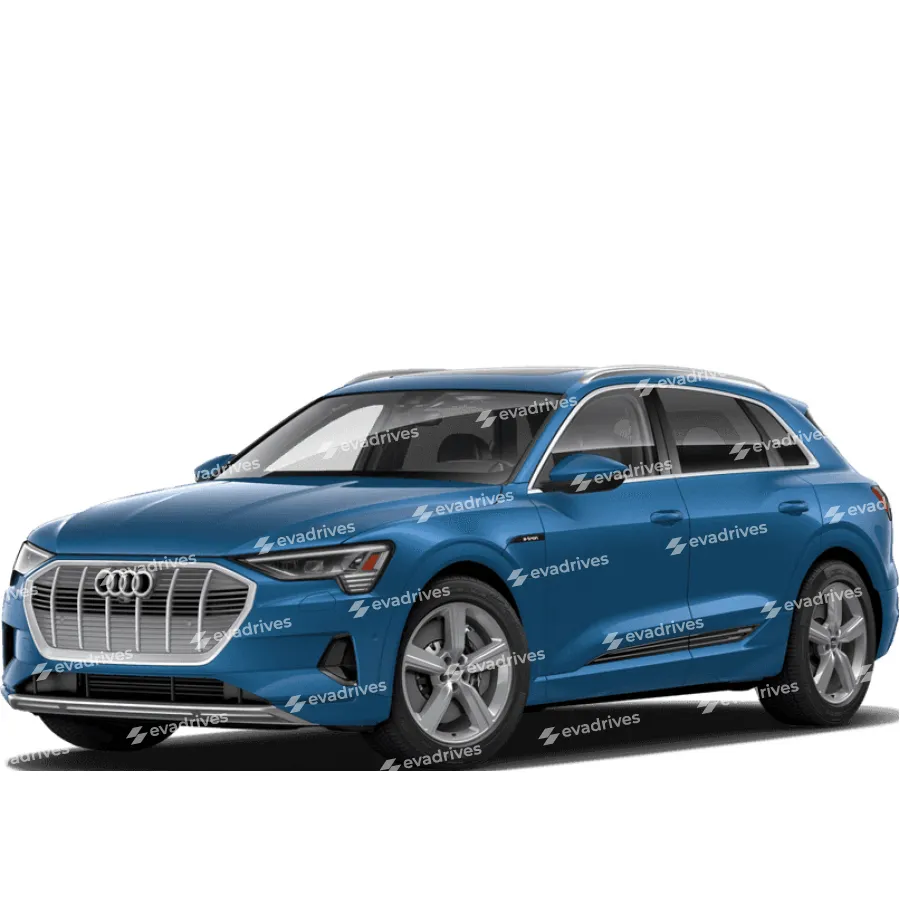 EVA килимки для Audi E-tron Q2L SUV 2019 +