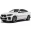 EVA килимки для BMW X6 (G06) SUV 2019 + 3 generation