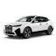 EVA килимки для BMW iX (I20) xDrive40 SUV 2021+ 1 generation