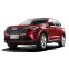 EVA килимки для Haval H6 SUV 2020+